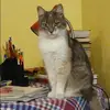 Отзыв от Фаина Бочарова
